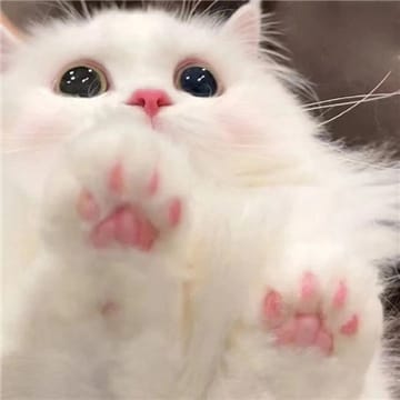 Ảnh đại diện Ajay